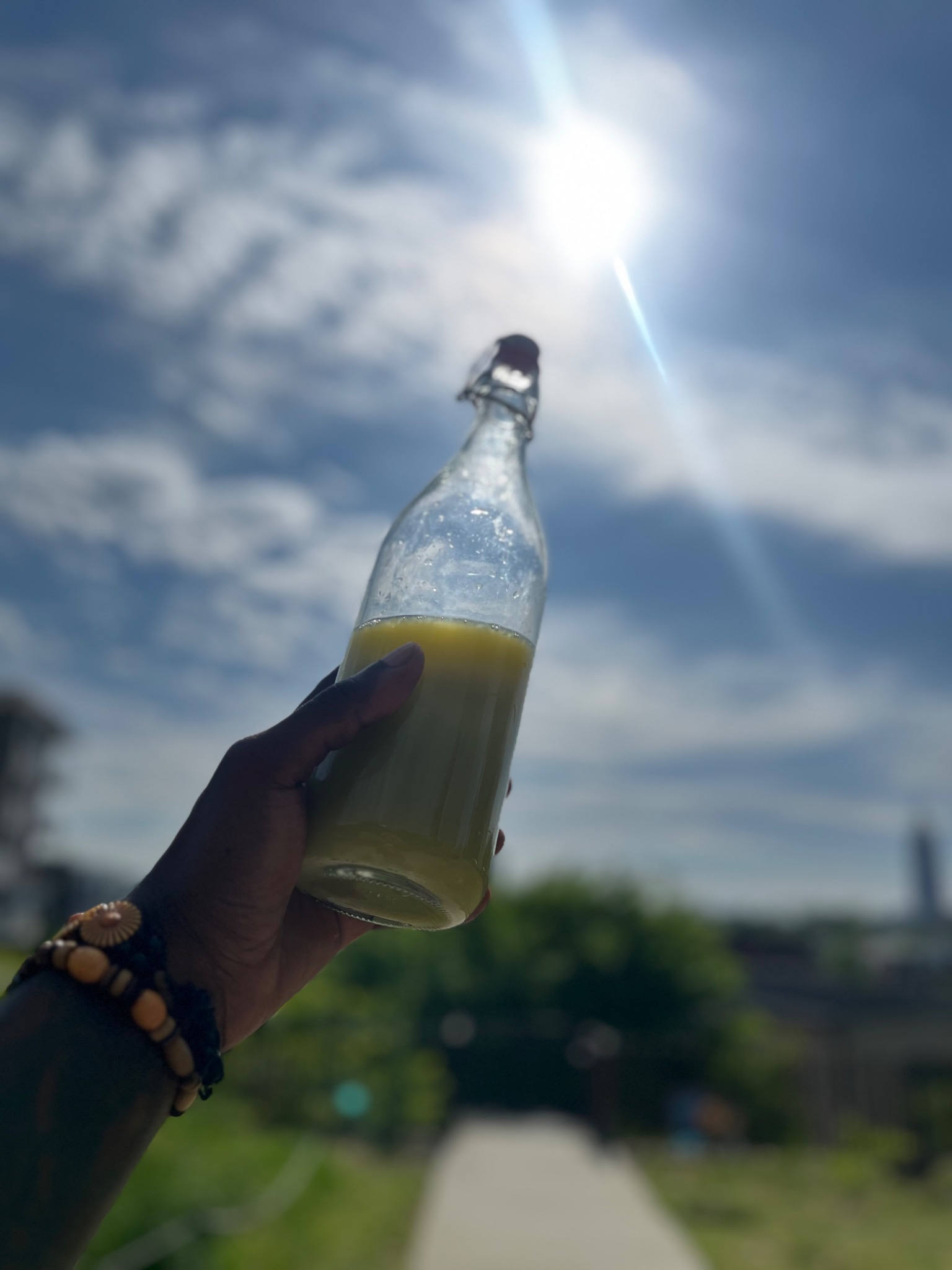 The Refresher Juice
